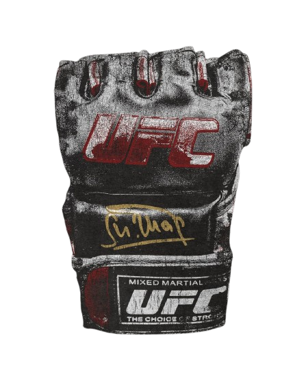 UFC Glove