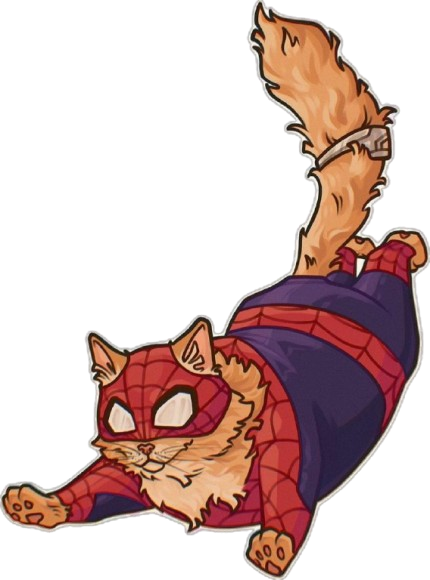 Spider cat