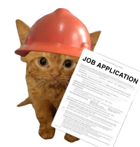 Cat Job Application